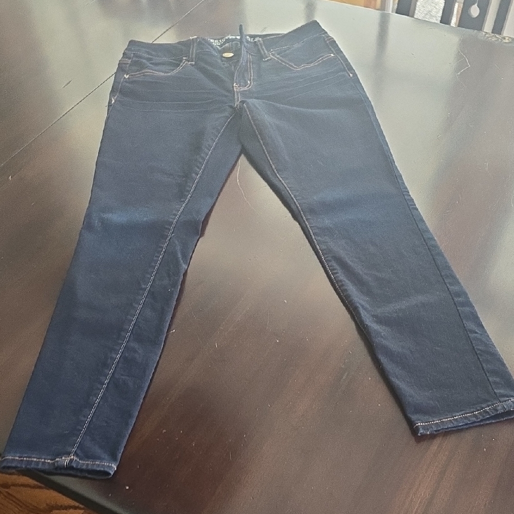 American Eagle Outfitters Navy Ankle Jeans